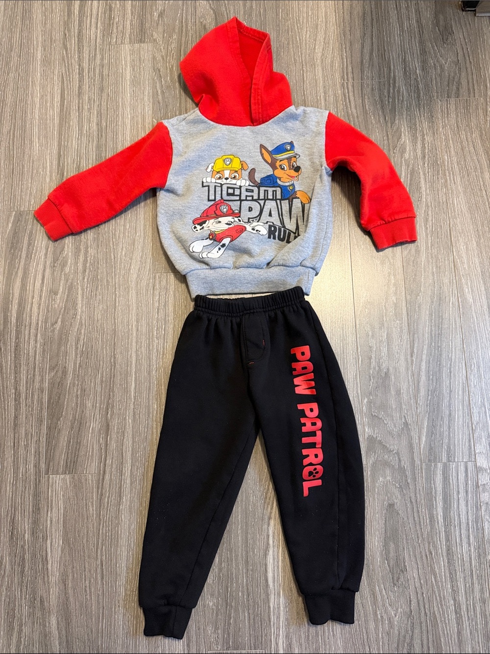 Paw Patrol Hoodie and Sweats Set